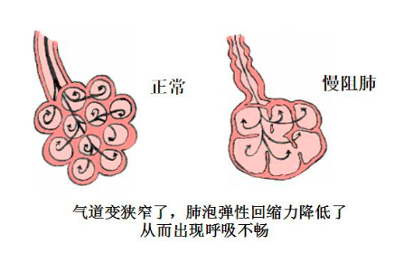 &#74;&#68;&#66;&#40;&#20013;&#22269;&#30005;&#23376;&#41;&#23448;&#26041;&#32593;&#31449;
